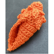 Conch Shell Conch Shell