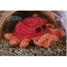 Crab Crab