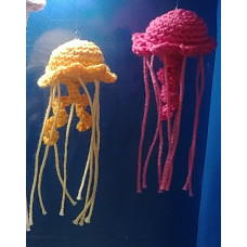Jellyfish Jellyfish